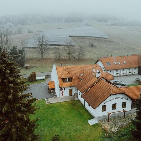 Penzion Brusinka Kocourov  Экстерьер фото