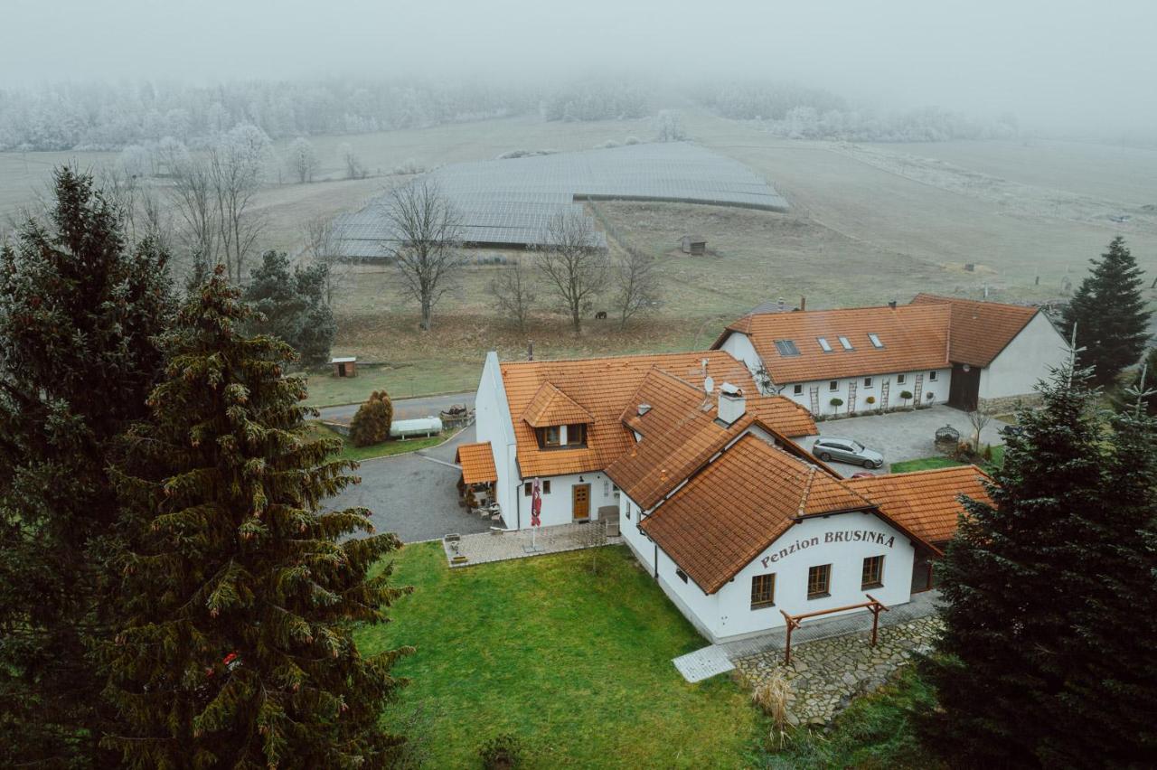 Penzion Brusinka Kocourov  Экстерьер фото